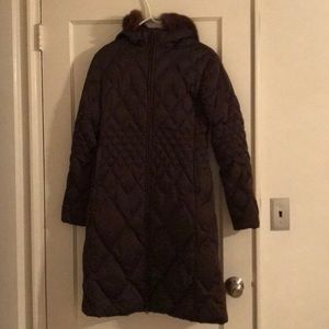 Searle Chocolate Coat